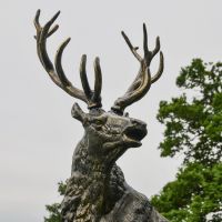 Close-up of the Head on the “Renwick” Stag on Rock Sculpture Close-up of the Head on the “Renwick” Stag on Rock Sculpture