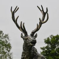 Antlers on the Top of the “Renwick” Stag on Rock Sculpture Antlers on the Top of the “Renwick” Stag on Rock Sculpture