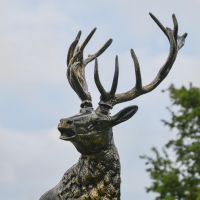 Close up of Antlers on the “Renwick” Stag on Rock Sculpture