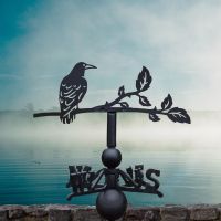 Rook weathervane on a lovely foggy day