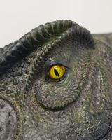 ‘Rory’ the T-Rex Fibreglass Garden Wall Art on white wall close up of eye ‘Rory’ the T-Rex Fibreglass Garden Wall Art on white wall close up of eye