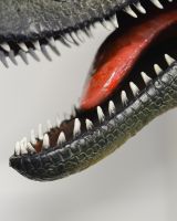 ‘Rory’ the T-Rex Fibreglass Garden Wall Art on white wall close up of teeth ‘Rory’ the T-Rex Fibreglass Garden Wall Art on white wall close up of teeth