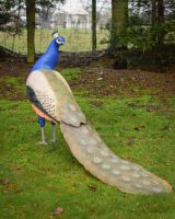 "Sapphire Emissary" Fibreglass Peacock Garden Sculpture full view