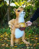"Scoot" the Handpainted Fibreglass Squirrel Garden Sculpture with hand in shot for scale