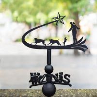 Shooting star & dogs weathervane in the park
