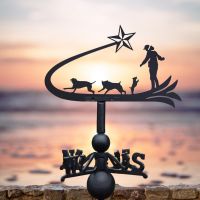 Shooting star & dogs weathervane on the beach