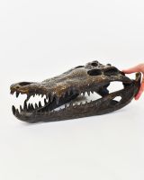 "Sobek" Cast Brass Crocodile Skull Sculpture hand in shot for scale