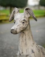 "Stanley" Sitting Greyhound Cast Aluminium Garden Sculpture close up of head