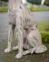 "Stanley" Sitting Greyhound Cast Aluminium Garden Sculpture close up of legs
