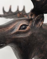 "The Great North" Moose Head Wall Art close up of eye