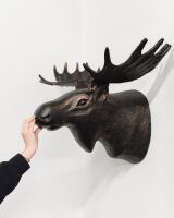 "The Great North" Moose Head Wall Art with hand in shot for scale