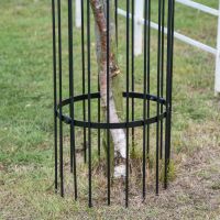 Close-Up of Base on “Titan” Tree Guards - Gold