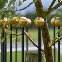 Close-Up of Gold Finish on “Titan” Tree Guards