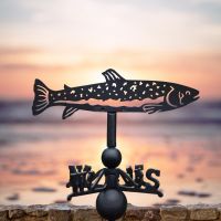 Trout fish weathervane at the beach Trout fish weathervane at the beach