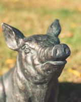 ‘Truffle’ the Pig Cast Aluminium Garden Sculpture close up of face