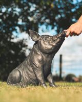 ‘Truffle’ the Pig Cast Aluminium Garden Sculpture to scale with hand for reference