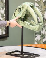 "Yukon" Sabre-Toothed Tiger Skull Cast Aluminium Home Ornament with Hand in Shot for Scale
