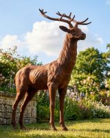 "Zekin" Cast Iron Stag - Facing Forward Digital Illustration "Zekin" Cast Iron Stag - Facing Forward Digital Illustration