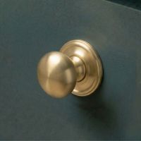 A 30mm Individual Satin Brass Mushroom Cabinet Knob Mounted on a Blue Kitchen Cabinet - Digital Illustration 