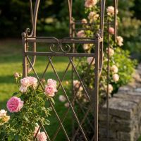 A Gothic Wrought Iron Rose and Climbing Plant Archway in a Decorative Low Walled Garden Showing the Lattice Work on the Sides - Digital Illustration 