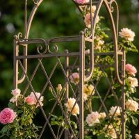 A Gothic Wrought Iron Rose and Climbing Plant Archway Supporting Rose plants - Digital Illustration