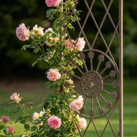 A Gothic Wrought Iron Rose and Climbing Plant Archway with a Close up View of the Circular Pattern on the Side- Digital Illustration