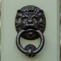 A Green Door with a Close up View of a "Salvendale" Black Lion Door Knocker on it - Digital Illustration