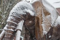 "The Colonel" magnificent iron sculpture of an African elephant