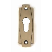 Close-Up of Aged Brass "Roman" Euro Escutcheon - 100mm x 36mm