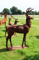 "Grenoch Grove" Cast Iron Stag Sculpture "Grenoch Grove" Cast Iron Stag Sculpture