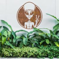 Peace Sign Alien Wall Art in Use in the Garden Peace Sign Alien Wall Art in Use in the Garden