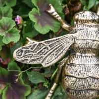 Close-Up of Brushed Gold Finish