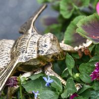 Close-Up of Bumble Bee Garden Sculpture in Gold