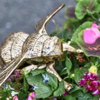 Close-Up of Aluminium Brushed Gold "Buzzing" Bumble Bee Sculpture