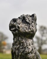 Close-up of the Face of the Yorkshire Terrier Dog Sculpture