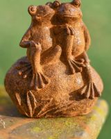 Angled view of toad rustic outdoor statue