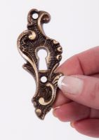 “Caldonia Coast” Sea Shell Escutcheon