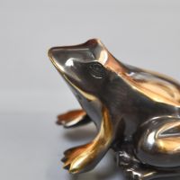 Close-Up of Antique Brass Frog Door Knocker in Situ