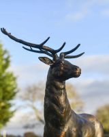 Close-Up of Antique Bronze "General" Freestanding Stag Garden Sculpture
