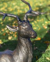 Antique Bronze "General" Sitting Stag Garden Sculpture in Situ Antique Bronze "General" Sitting Stag Garden Sculpture in Situ