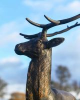 Close-Up of Antique Bronze "General" Sitting Stag Garden Sculpture Close-Up of Antique Bronze "General" Sitting Stag Garden Sculpture