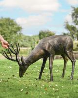 Scale Shot of Antique Bronze "Roe" Grazing Buck Sculpture 