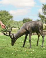Grazing stag to scale Grazing stag to scale