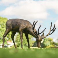 Antique Bronze "Roe" Grazing Buck Sculpture in Situ