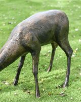 Close-Up of Antique Bronze Finish