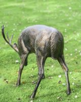 Close-Up of Antique Bronze "Roe" Grazing Buck Sculpture in Situ