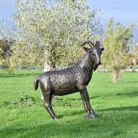 Side View of the Billy Goat Garden Sculpture in the Garden