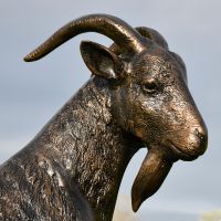 close-up of the Antique Bronze Finish on the Billy Goat Garden Sculpture