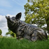 Side View of the Antique Bronze Sitting Pig Sculpture Side View of the Antique Bronze Sitting Pig Sculpture