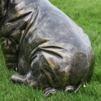 Close-up of the Antique Bronze Finish on the Sitting Pig Sculpture Close-up of the Antique Bronze Finish on the Sitting Pig Sculpture